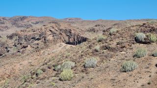 2024-02-GranCan-Playa Del Aguila-Trek-54.jpg